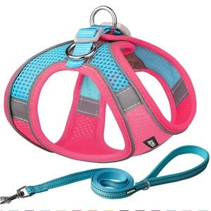 🐶Aiitle  Dog Harness and Leash Set  Size Small NWP